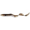 savage gear gumova nastraha real eel loose body 30 cm 56 g