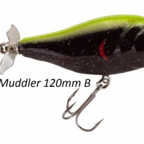 P Mudler