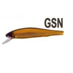 GSN